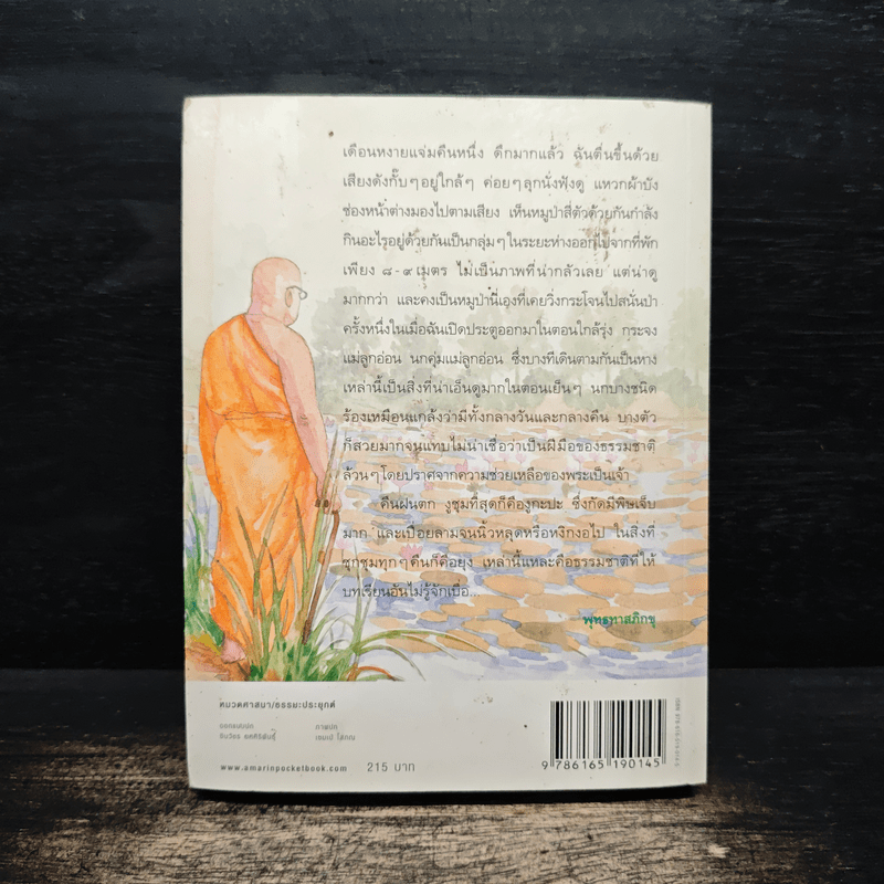 เทวดา คน พระ หมู หมา กา ไก่ ในสวนโมกข์ฯ - พจน์ ยังพลขันธ์