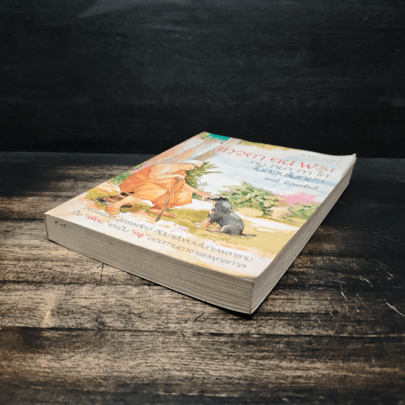 เทวดา คน พระ หมู หมา กา ไก่ ในสวนโมกข์ฯ - พจน์ ยังพลขันธ์