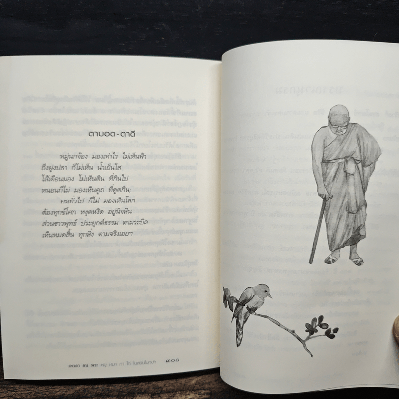 เทวดา คน พระ หมู หมา กา ไก่ ในสวนโมกข์ฯ - พจน์ ยังพลขันธ์