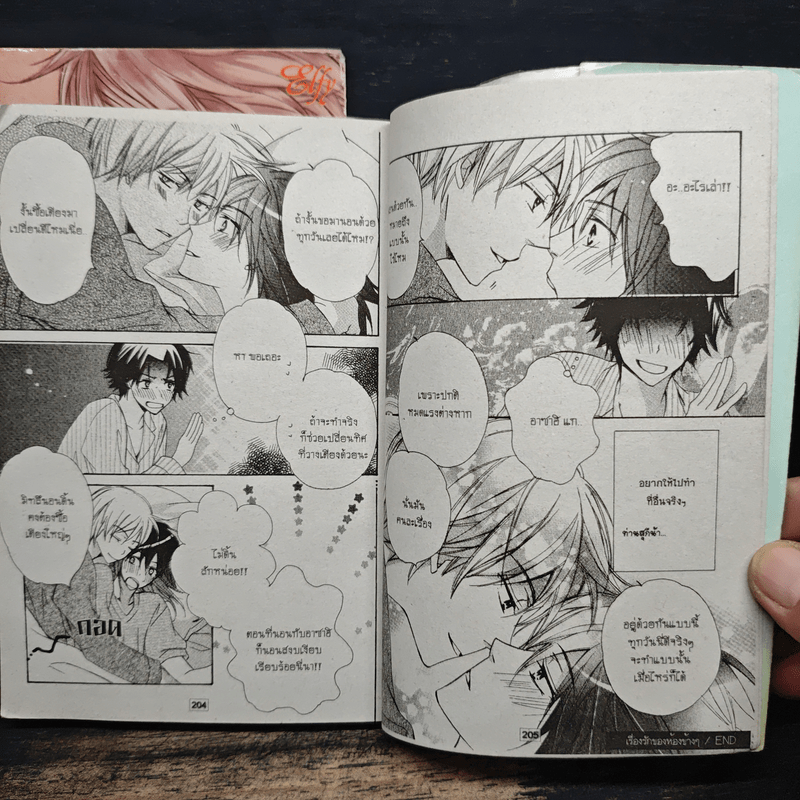 Strawberry Geographic 2 เล่มจบ