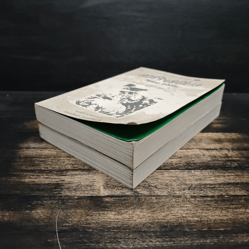 สวรรค์เบี่ยง 2 เล่มจบ - กฤษณา อโศกสิน