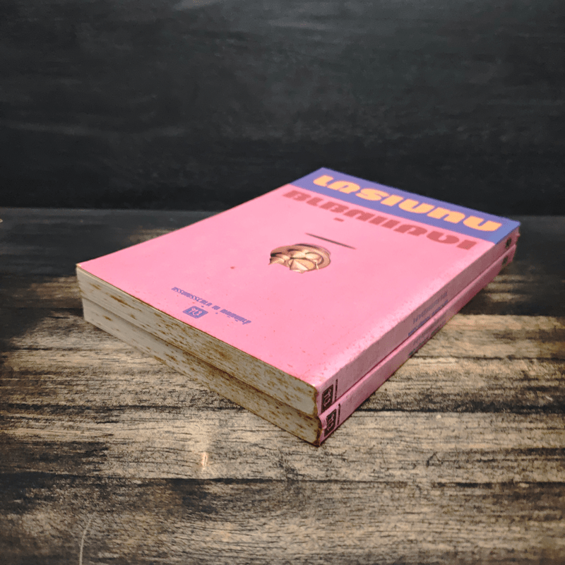 เดชแม่ยาย 2 เล่มจบ - กนกเรขา