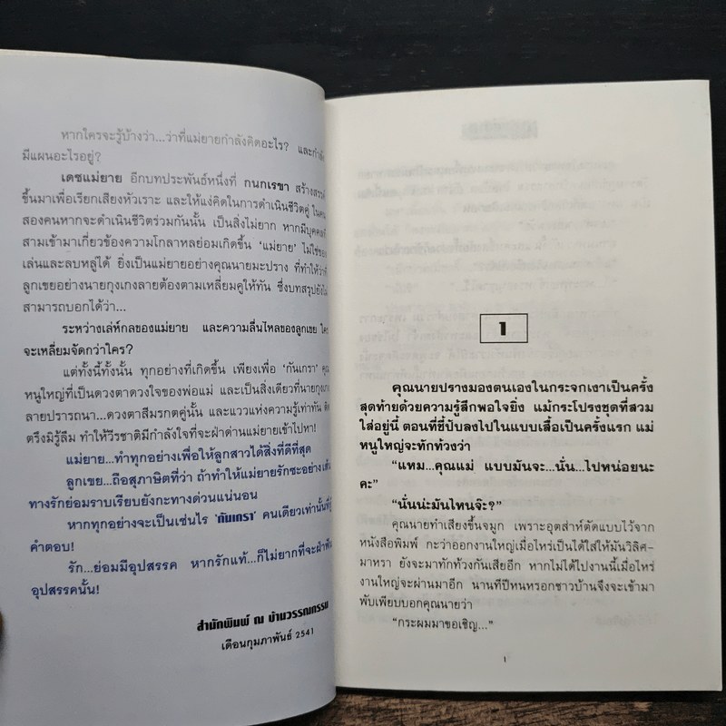 เดชแม่ยาย 2 เล่มจบ - กนกเรขา