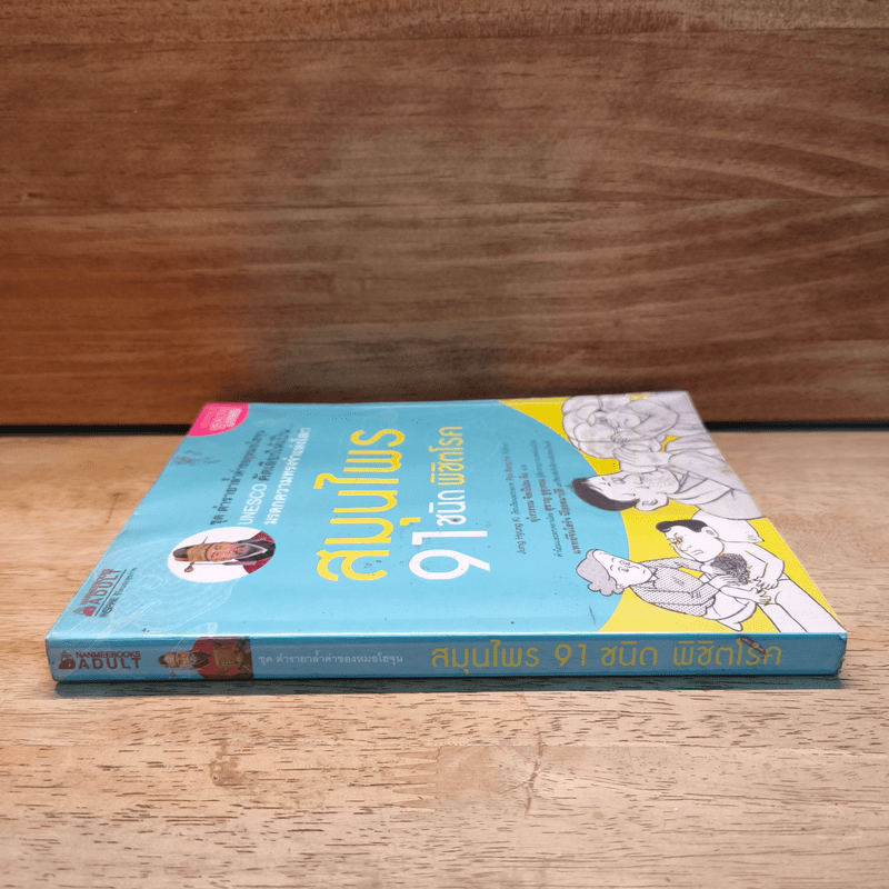 สมุนไพร 91 ชนิด พิชิตโรค - Jung Hyung Ki