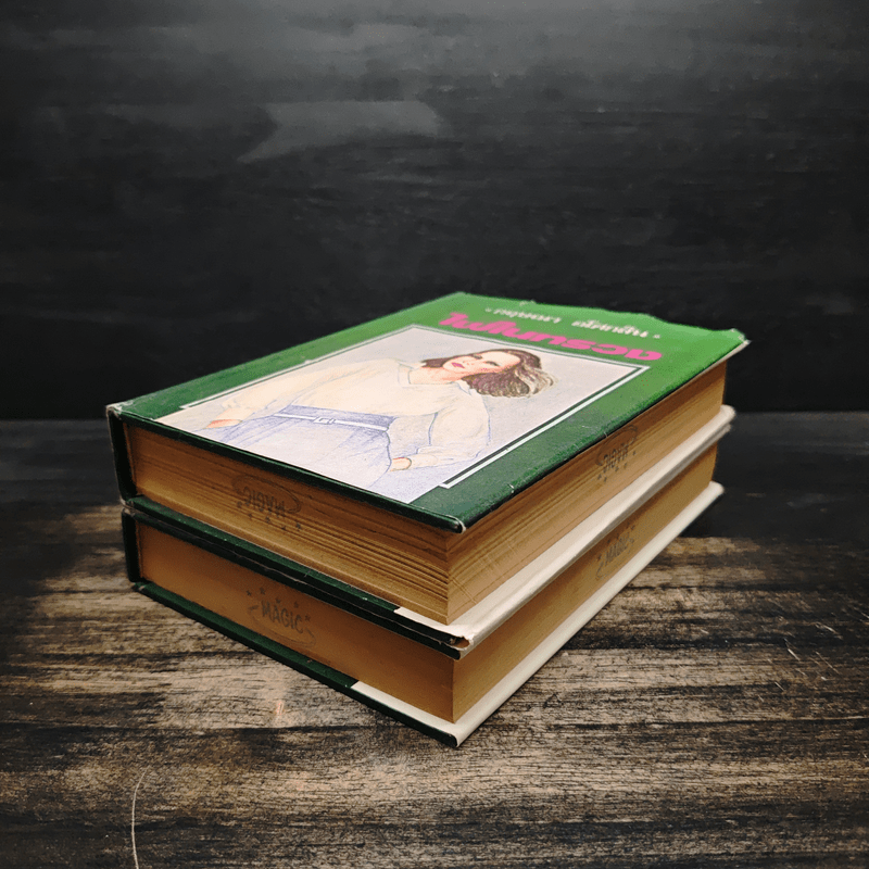 ไฟในทรวง 2 เล่มจบ (ปกแข็ง) - กฤษณา อโศกสิน