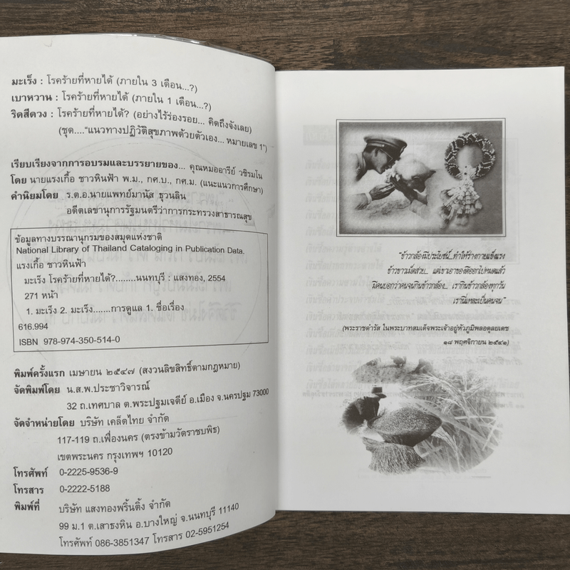 มะเร็ง เบาหวาน ริดสีดวง โรคร้ายที่หายได้ - แรงเกื้อ ชาวหินฟ้า