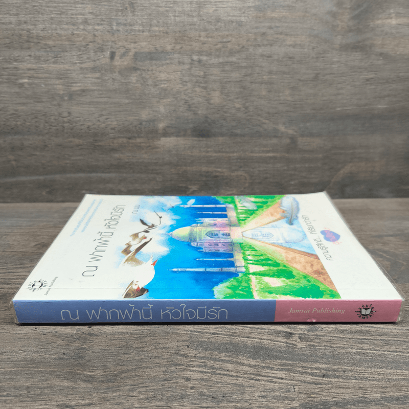 ณ ฟากฟ้านี้ หัวใจมีรัก - ณ มน