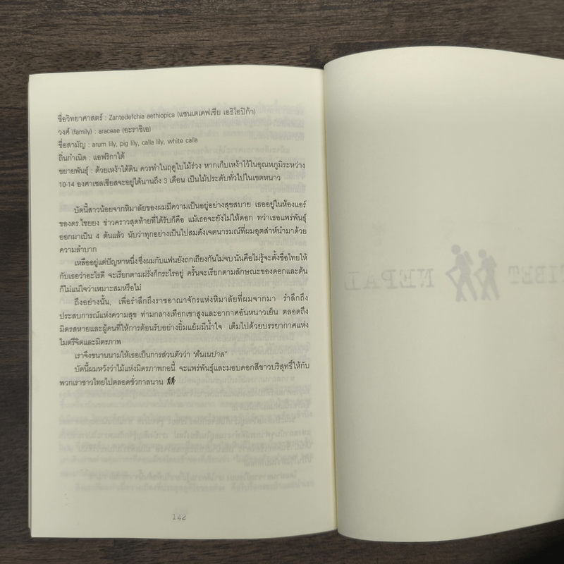 เดินใต้ดวงตะวัน สู่สวรรค์บนดิน (ธิเบต & เนปาล) - อัคนี มูลเมฆ, จามิกร แสงศิริ