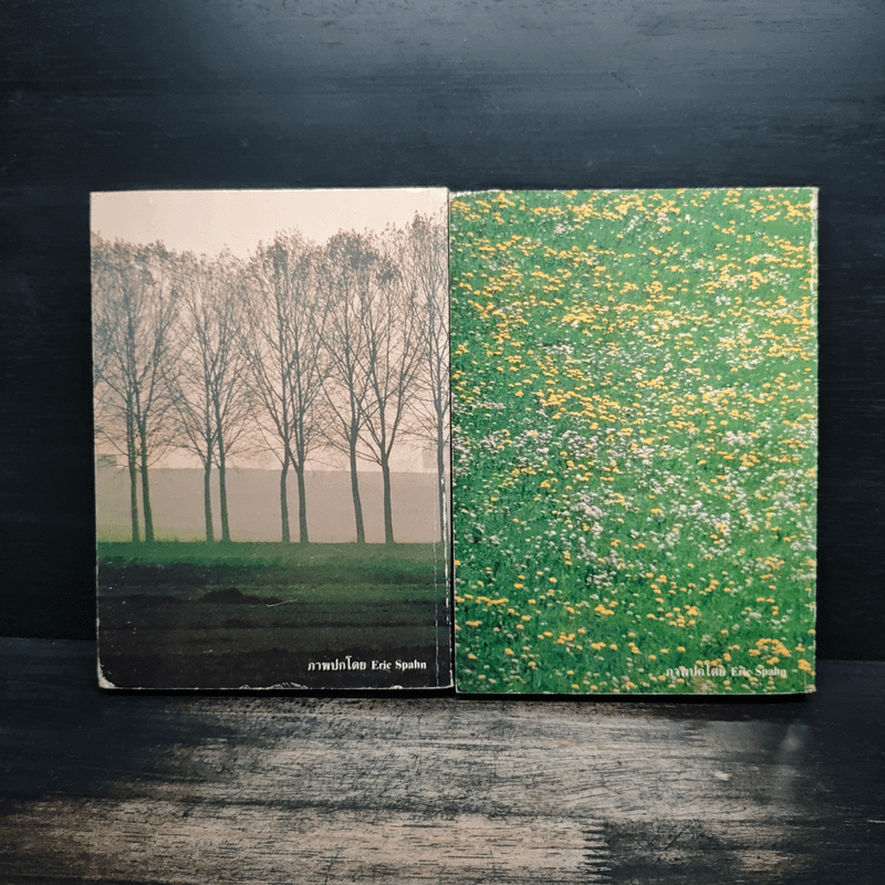 หมอกในป่าสีทอง 2 เล่มจบ - สีมน