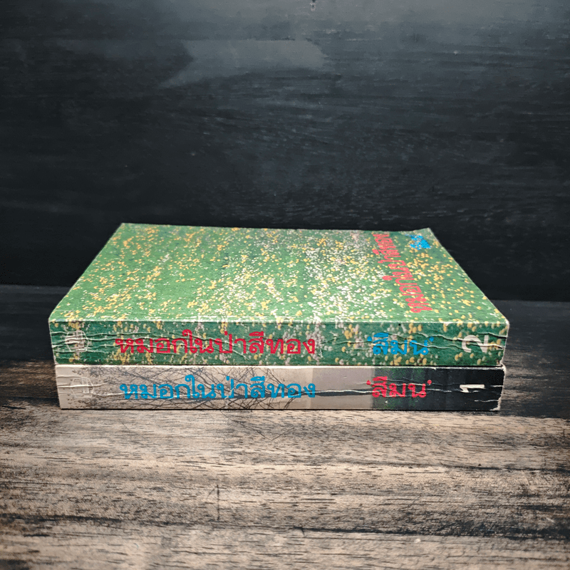 หมอกในป่าสีทอง 2 เล่มจบ - สีมน