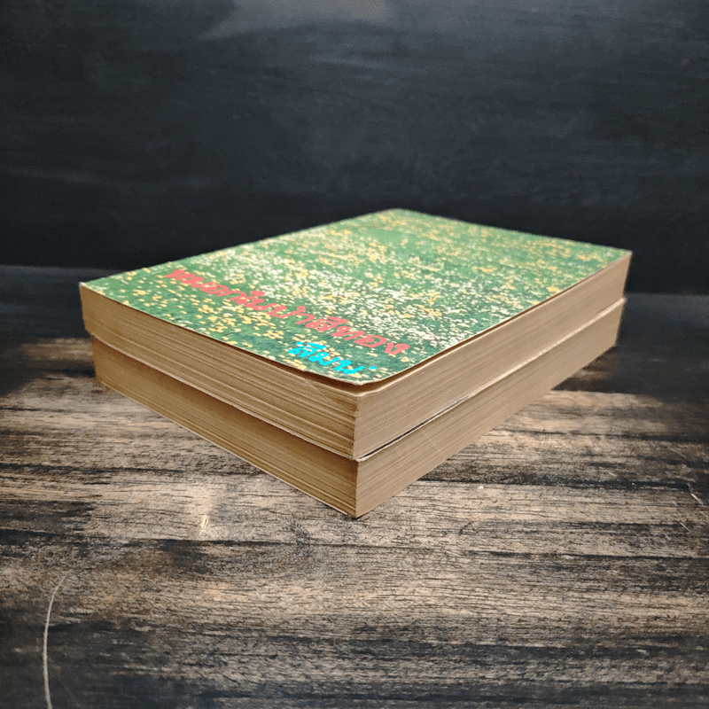 หมอกในป่าสีทอง 2 เล่มจบ - สีมน