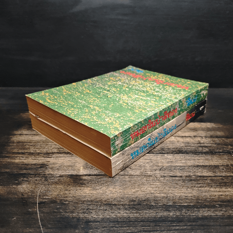 หมอกในป่าสีทอง 2 เล่มจบ - สีมน