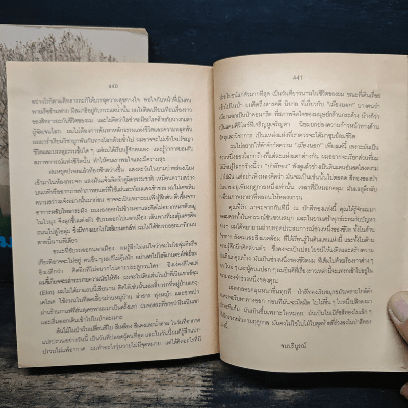 หมอกในป่าสีทอง 2 เล่มจบ - สีมน