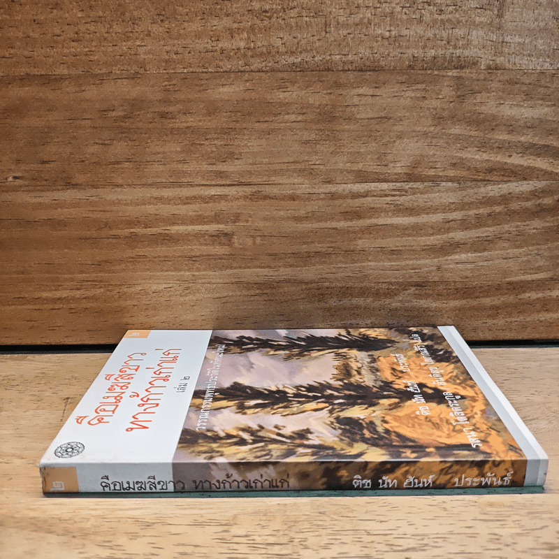 คือเมฆสีขาว ทางก้าวเก่าแก่ เล่ม 2 - ติช นัท ฮันห์