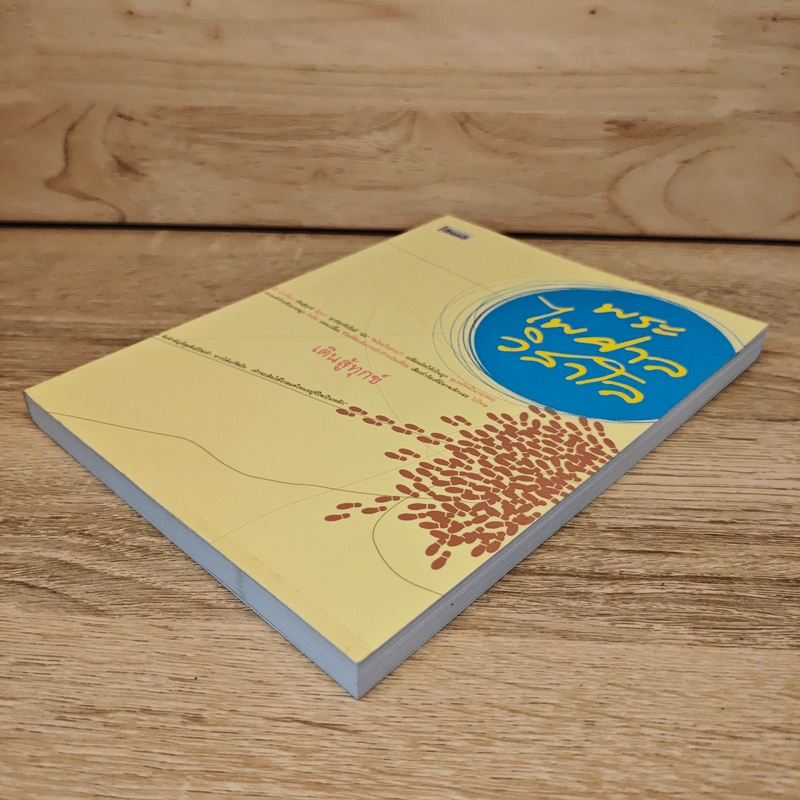 เดินสู้ทุกข์ - พระไพศาล วิสาโล