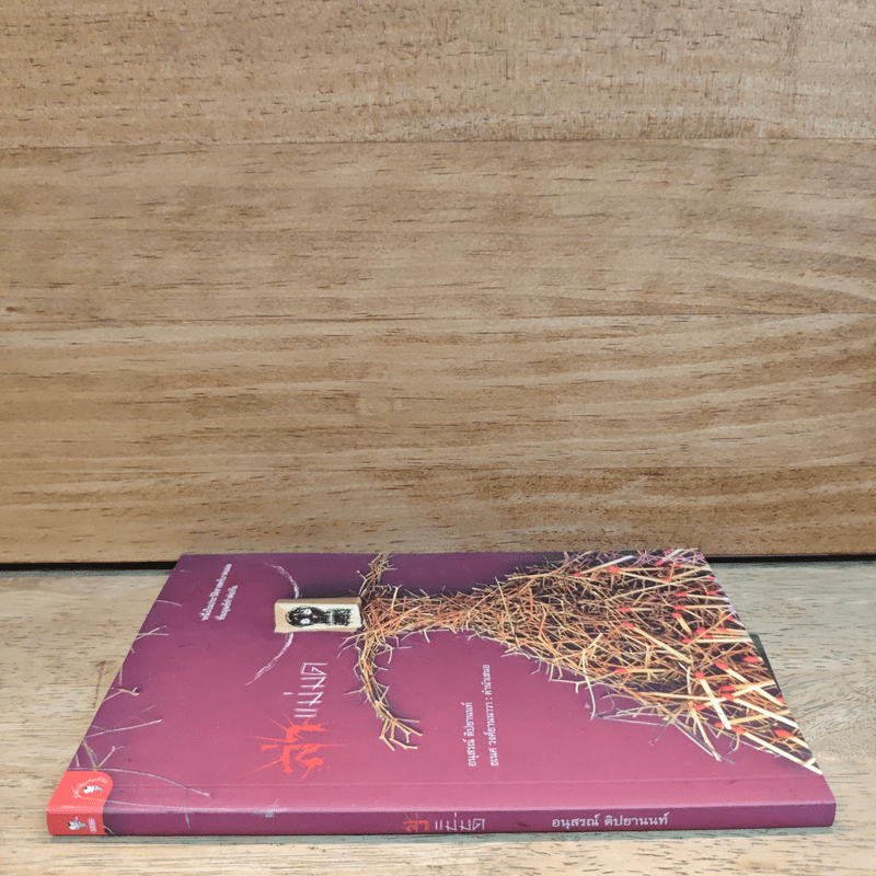 ล่าแม่มด - อนุสรณ์ ติปยานนท์