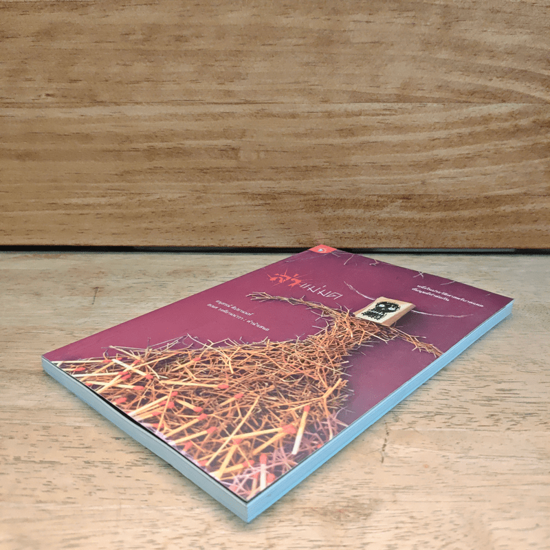 ล่าแม่มด - อนุสรณ์ ติปยานนท์