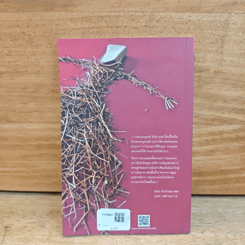 ล่าแม่มด - อนุสรณ์ ติปยานนท์