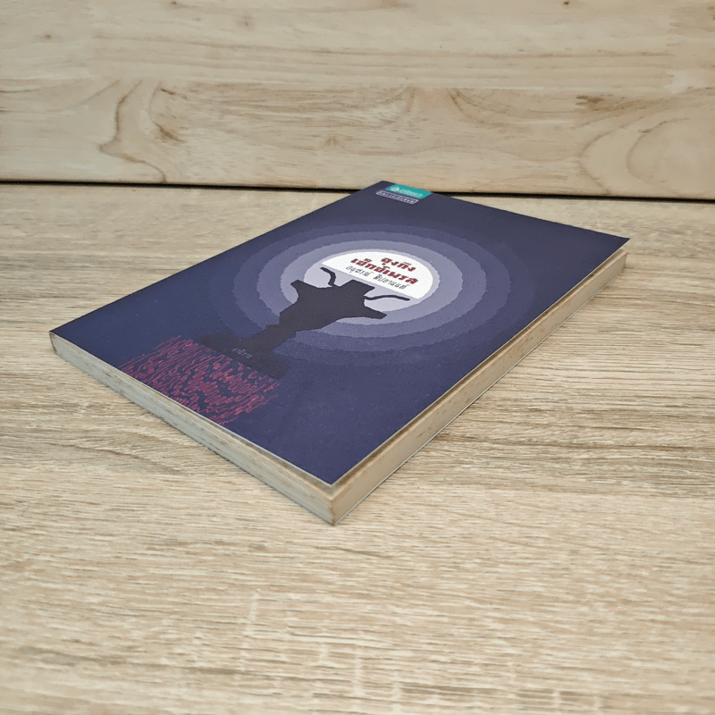 จุงกิงเซ็กซ์เพรส - อนุสรณ์ ติปยานนท์