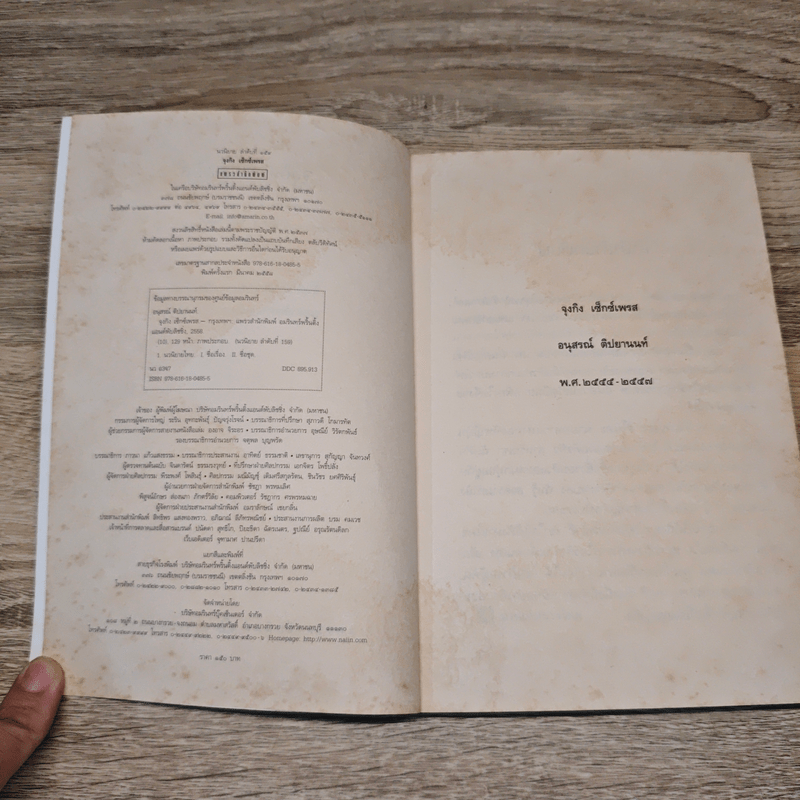 จุงกิงเซ็กซ์เพรส - อนุสรณ์ ติปยานนท์