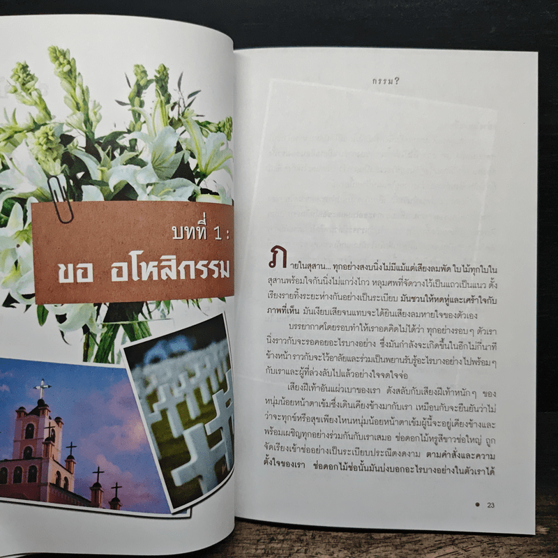 ชีวิตลิขิตด้วย...กรรม - คาริน บีเวอร์