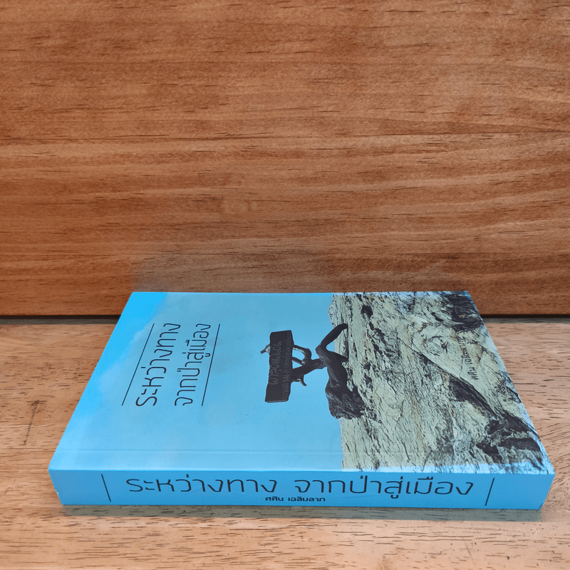 ระหว่างทางจากป่าสู่เมือง - ศศิน เฉลิมลาภ