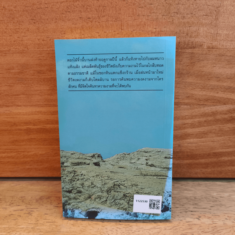 ระหว่างทางจากป่าสู่เมือง - ศศิน เฉลิมลาภ