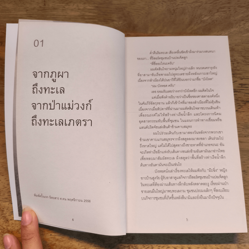 ระหว่างทางจากป่าสู่เมือง - ศศิน เฉลิมลาภ