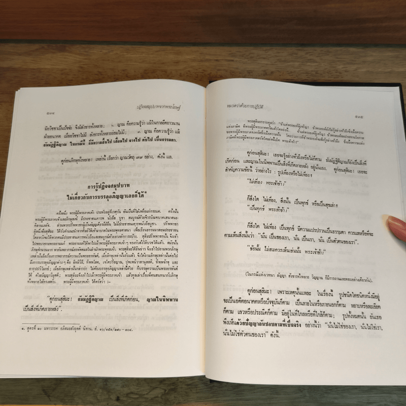 ธรรมโฆษณ์ ปฎิปทาปริทรรศน์