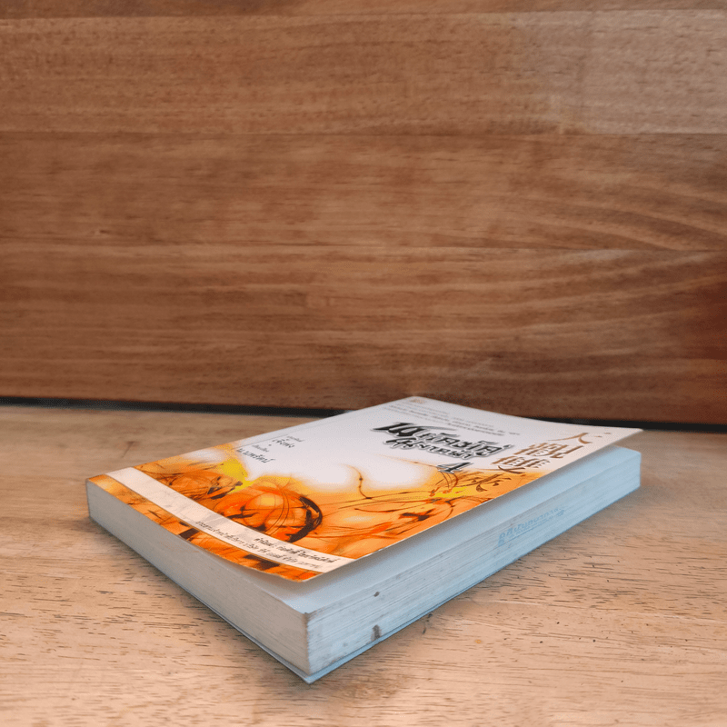 พยัคฆ์คู่ผงาดฟ้า เล่ม 4 - น.นพรัตน์