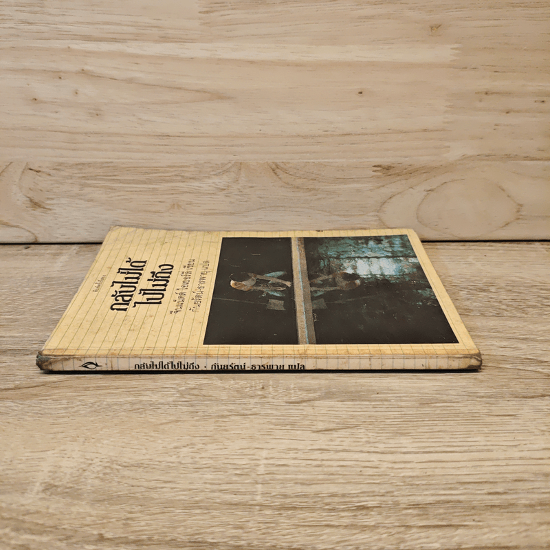 กลับไม่ได้ ไปไม่ถึง - จีนแน็ตต์ ไอเยอร์ลี