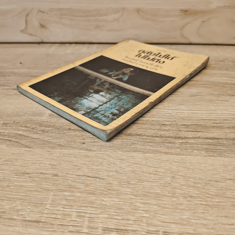 กลับไม่ได้ ไปไม่ถึง - จีนแน็ตต์ ไอเยอร์ลี