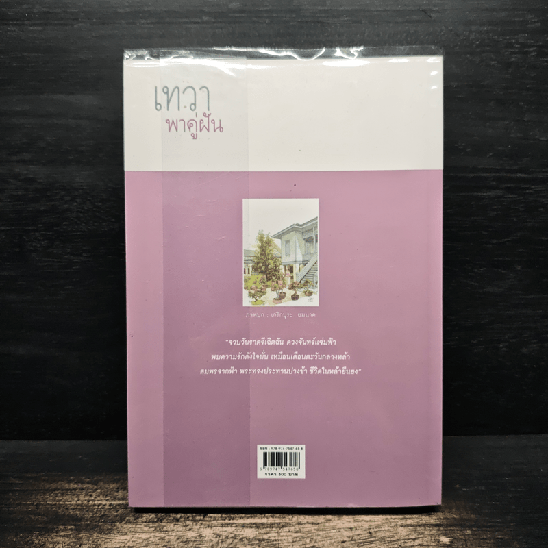 เทวาพาคู่ฝัน - ว.วินิจฉัยกุล