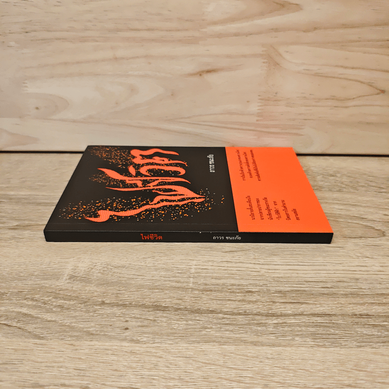 ไฟชีวิต - ถาวร ชนะภัย