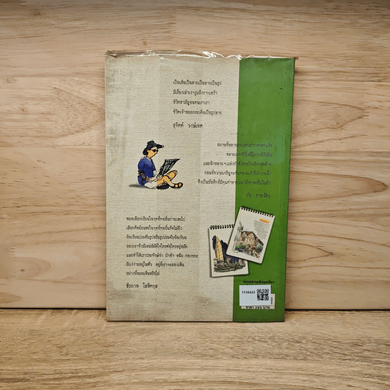 เก็บไว้ด้วยปลายพู่กัน - ทิววัฒน์ ภัทรกุลวณิชย์