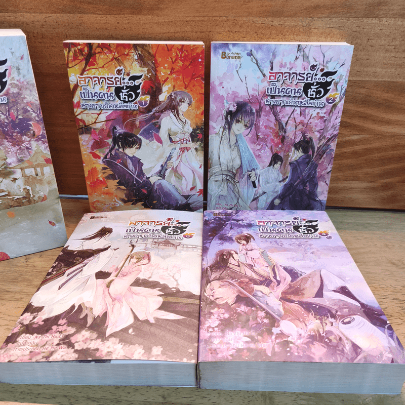 Box Set อาจารย์เป็นคนชั่วช่างยากเย็นเหลือเกิน 4 เล่มจบ - Na Zhi Hu Li