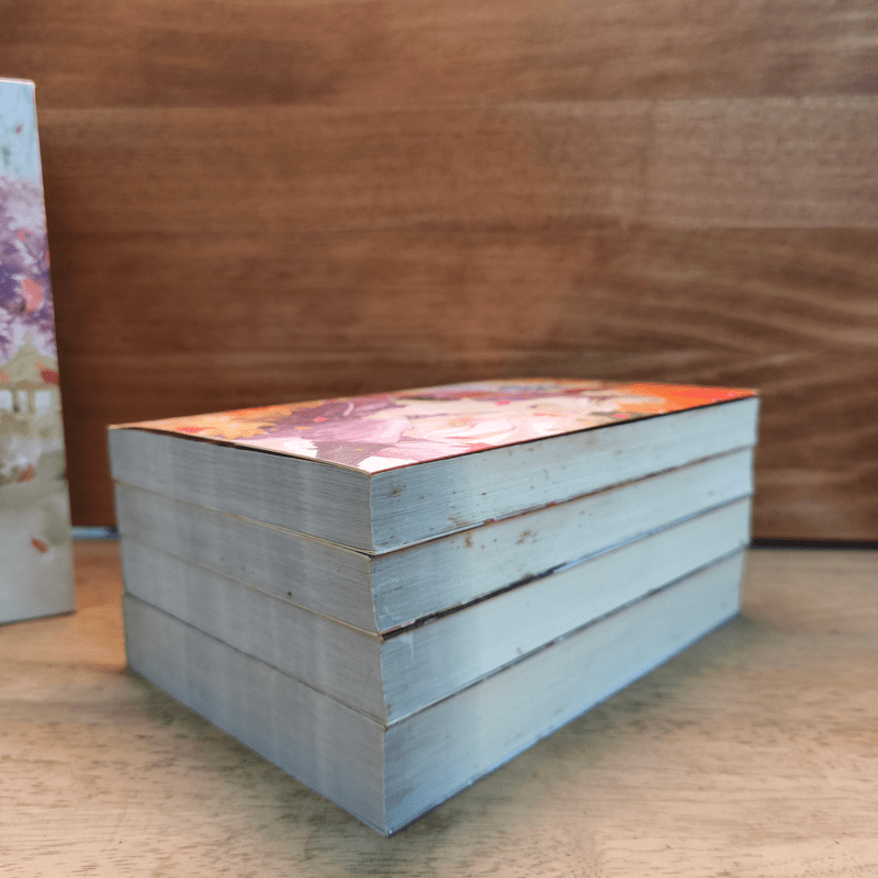 Box Set อาจารย์เป็นคนชั่วช่างยากเย็นเหลือเกิน 4 เล่มจบ - Na Zhi Hu Li