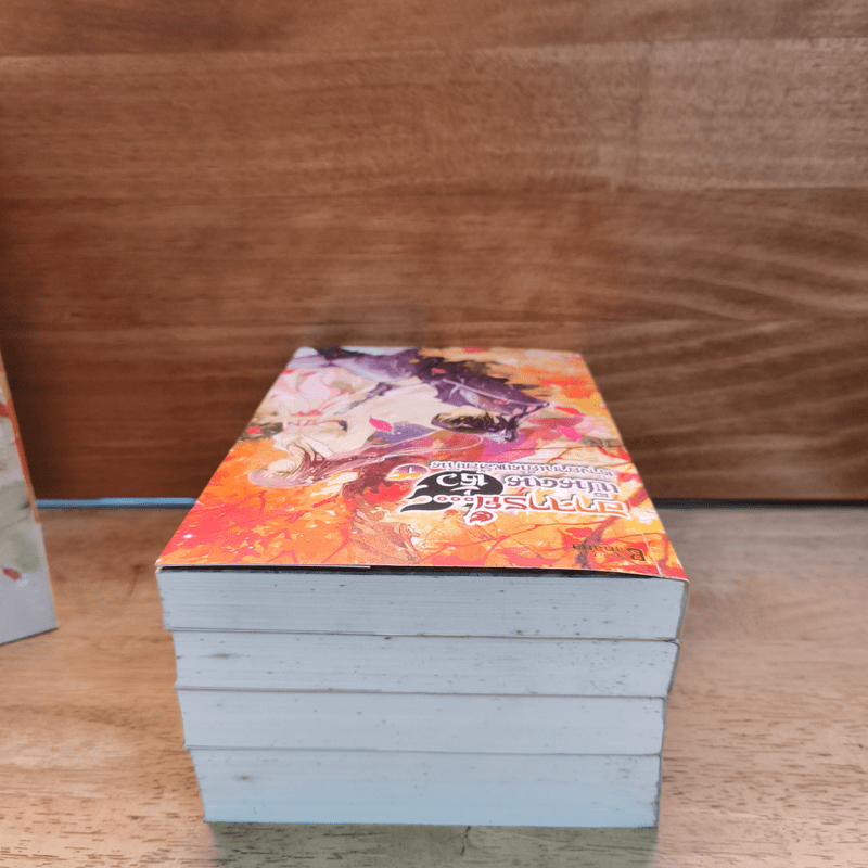 Box Set อาจารย์เป็นคนชั่วช่างยากเย็นเหลือเกิน 4 เล่มจบ - Na Zhi Hu Li