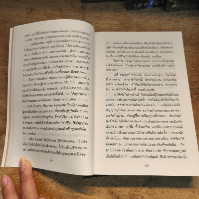 Box Set หนังสือชุดเฮสเสสดใส 10 เล่ม สเตปเปนวูล์ฟ Steppenwolf - เฮอร์มานน์ เฮสเส