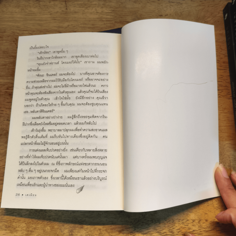 Box Set หนังสือชุดเฮสเสสดใส 10 เล่ม สเตปเปนวูล์ฟ Steppenwolf - เฮอร์มานน์ เฮสเส