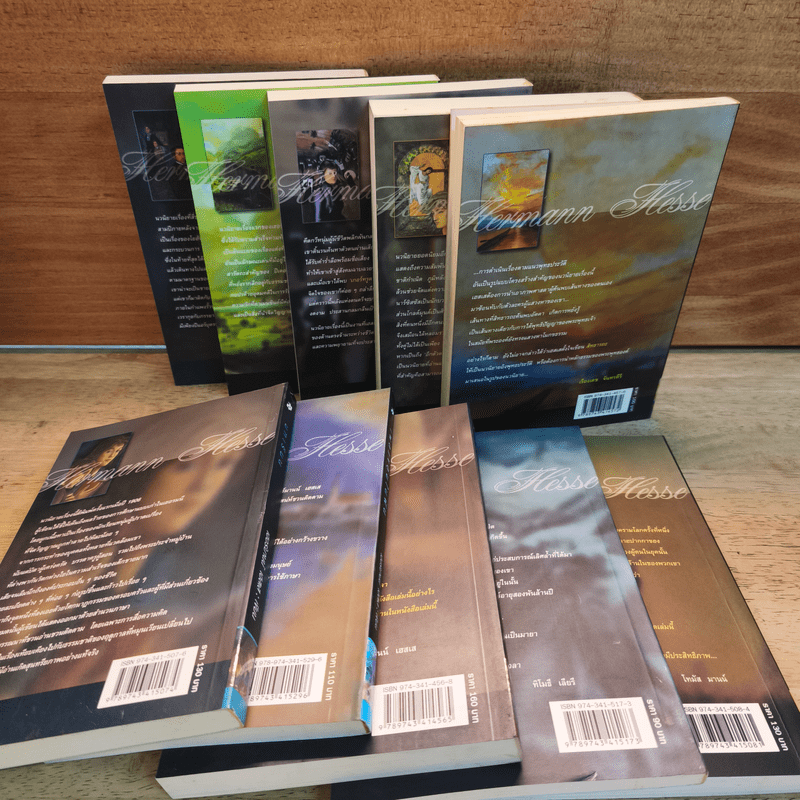Box Set หนังสือชุดเฮสเสสดใส 10 เล่ม สเตปเปนวูล์ฟ Steppenwolf - เฮอร์มานน์ เฮสเส