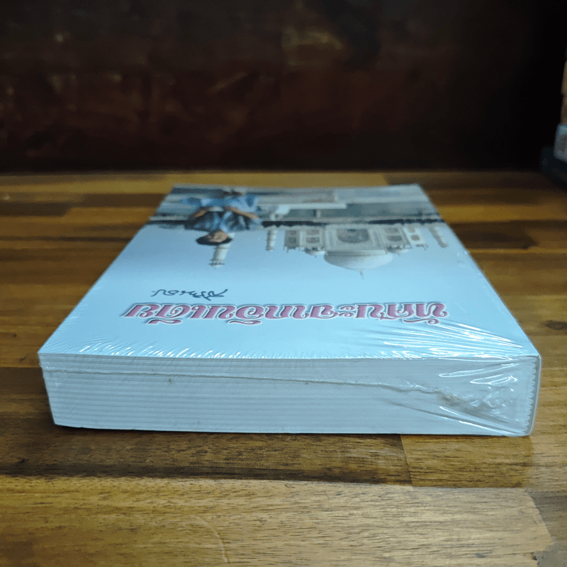 ทัศนะจากอินเดีย - สิรินธร