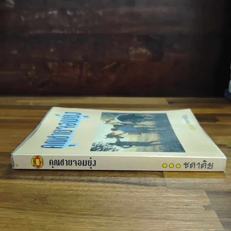 คุณชายจอมยุ่ง - ชลาลัย