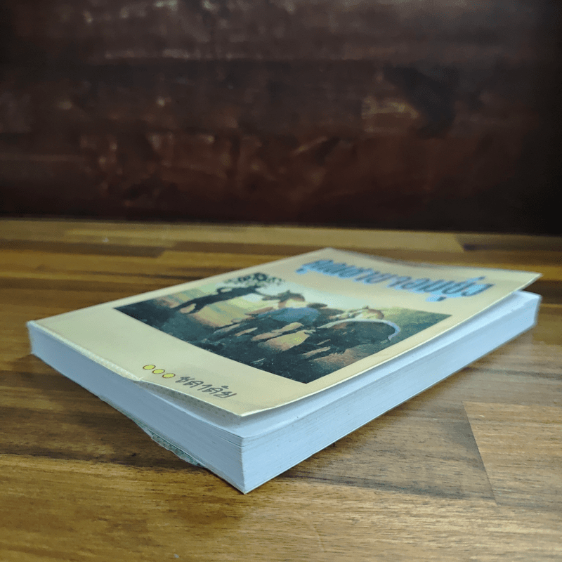 คุณชายจอมยุ่ง - ชลาลัย