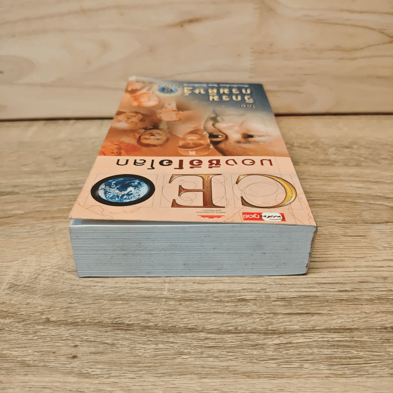 CEO มองซีอีโอโลก - วิกรม กรมดิษฐ์