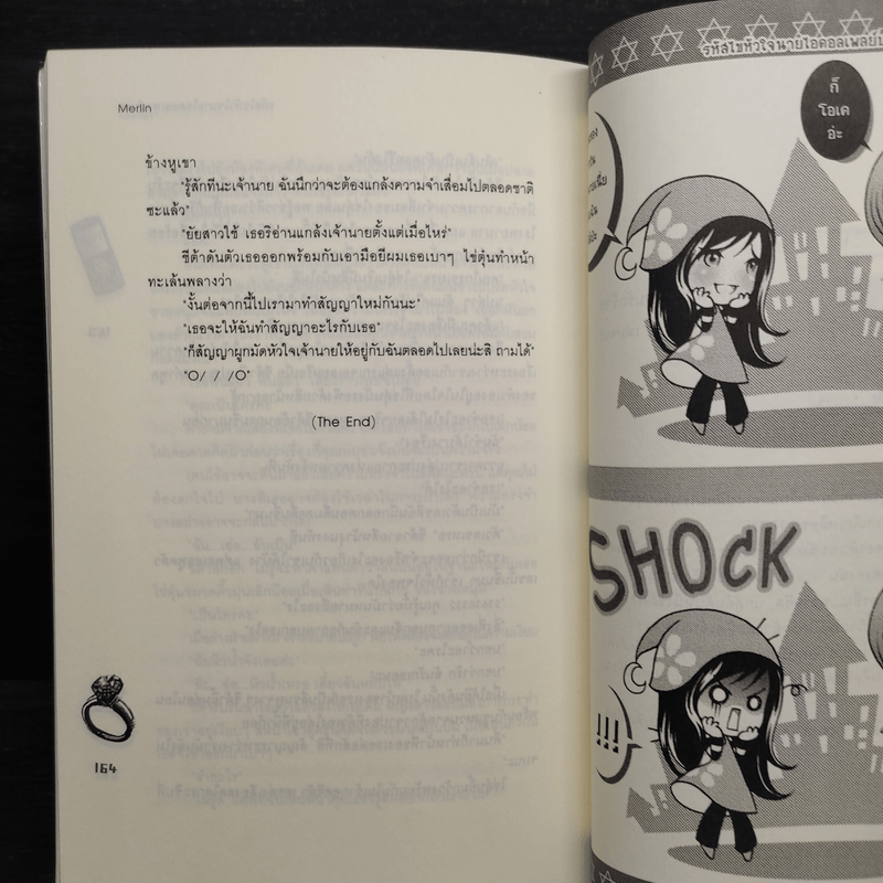 รหัสไขหัวใจนายไอดอลเพลย์บอย - Merlin