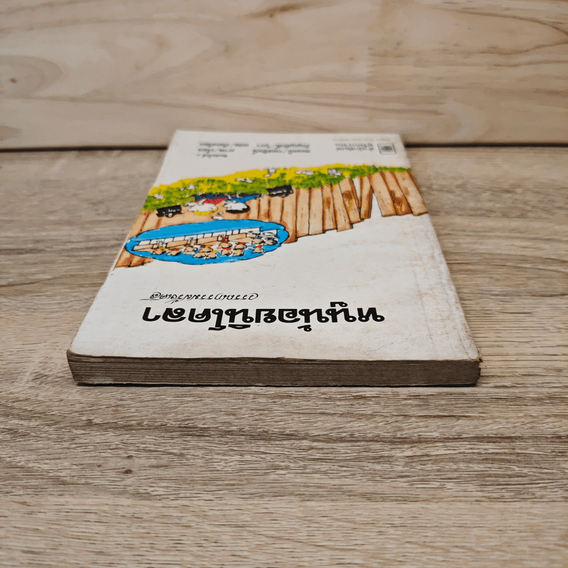 หนูน้อยนิโคลา - ซองเป้, กอสซินี