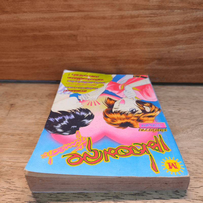 แม่จอมลุย สู้ตายค่ะ