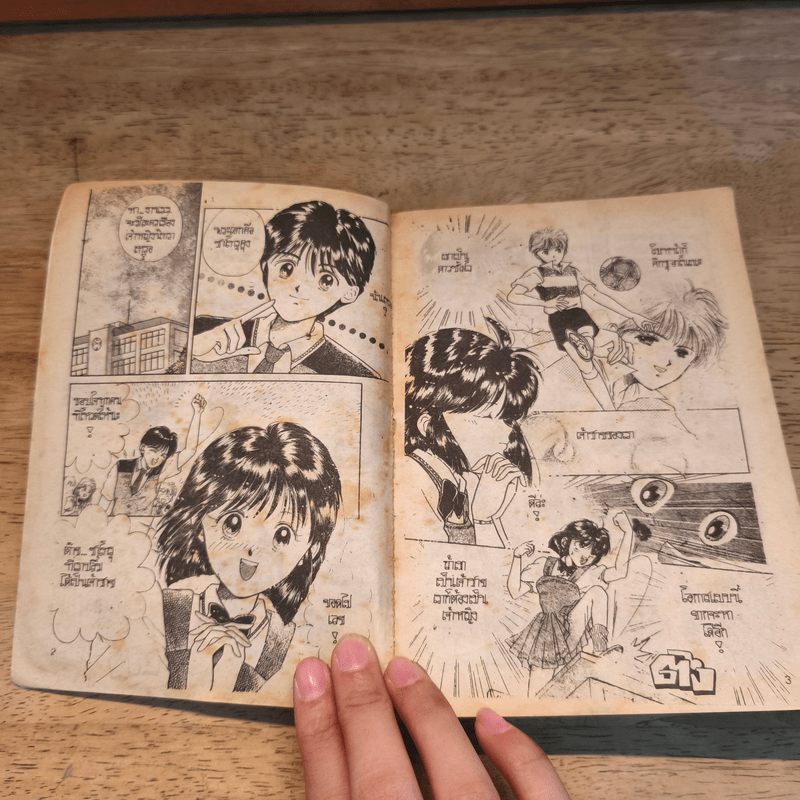 แม่จอมลุย สู้ตายค่ะ