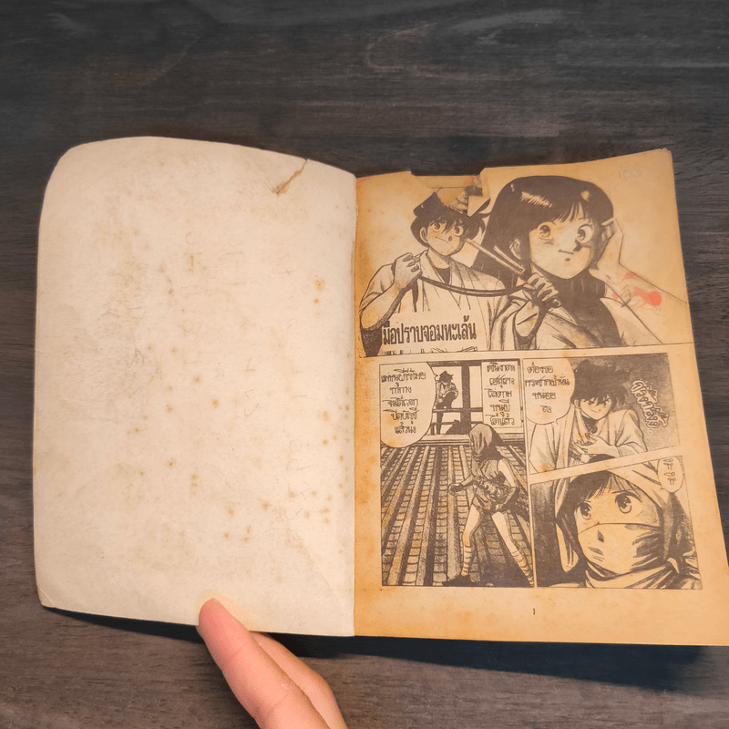 มือปราบจอมทะเล้น